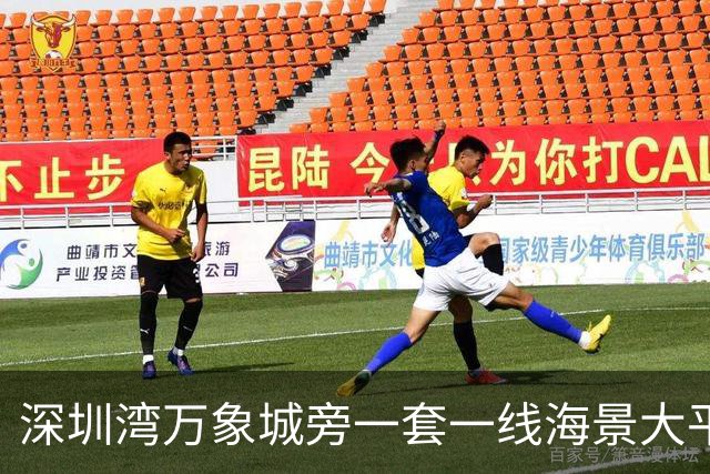 深圳湾万象城旁一套一线海景大平层拍卖，被人5827万竞得